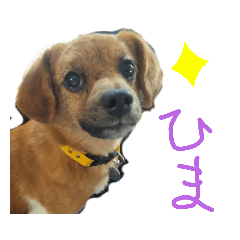 [LINEスタンプ] ほおのすたんぷ2