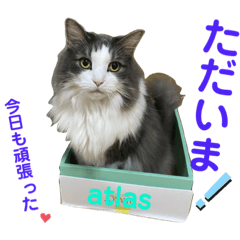 [LINEスタンプ] atlas ＆ marron 日和 2