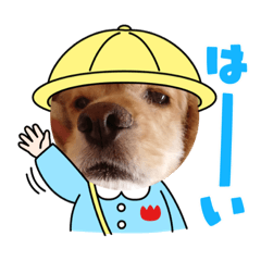 [LINEスタンプ] 我が家に居たアメリカンコッカースパニエル