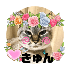 [LINEスタンプ] 廣岡さんの寄り添いますネコっの画像（メイン）