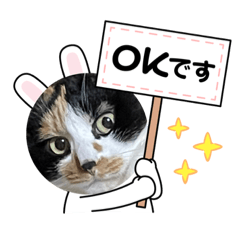[LINEスタンプ] どうぶつ 猫