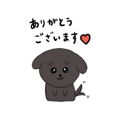 [LINEスタンプ] チワプー♡ポム・コムジョンの日常