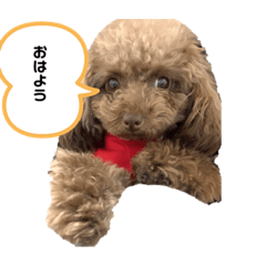 [LINEスタンプ] ちょびさんだよ