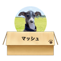 [LINEスタンプ] マッシュ選手