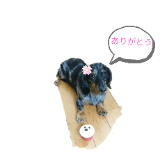 [LINEスタンプ] レオちゃんのかわいいスタンプ3
