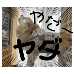 [LINEスタンプ] クラインくんのお話4