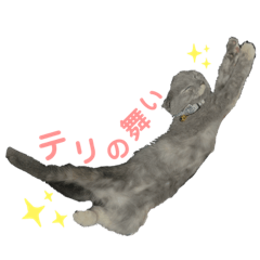 [LINEスタンプ] taeri 2