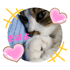[LINEスタンプ] ナナエモン③