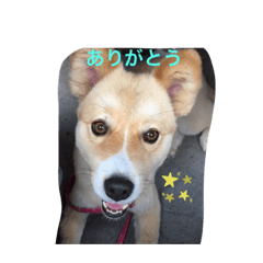 [LINEスタンプ] ムックとりん
