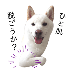 [LINEスタンプ] Ms.Shiroshiba☆