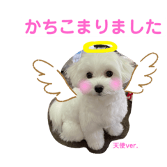 [LINEスタンプ] きなこスタンプ4．
