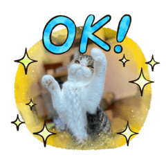 [LINEスタンプ] 獅子丸くんです②