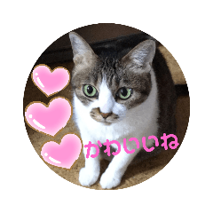 [LINEスタンプ] ナナエモン②