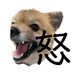 [LINEスタンプ] ポメチワのピース❤