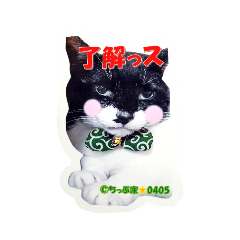 [LINEスタンプ] ちっぷ家★0405①