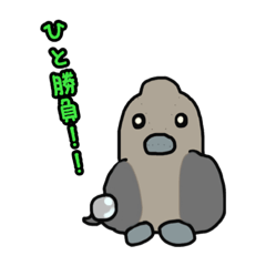 [LINEスタンプ] ぴっぴかん