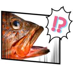 [LINEスタンプ] かわいいお魚スタンプ