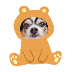 [LINEスタンプ] らむちゃんいっぱい