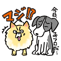 [LINEスタンプ] ハルと友だちワンコたち