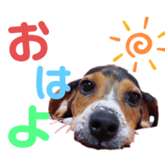 [LINEスタンプ] ウルくん第2弾