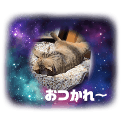[LINEスタンプ] KOTA。
