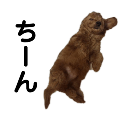 [LINEスタンプ] モカとララです