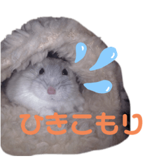 [LINEスタンプ] いまの気持ち。