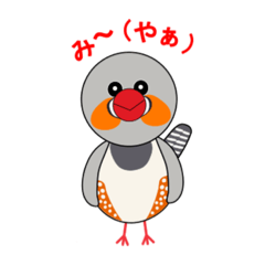 [LINEスタンプ] キンカチョウ (錦華鳥) スタンプ