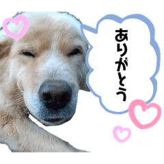 [LINEスタンプ] ヒロ_stamp