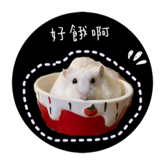 [LINEスタンプ] 三匹の鼠と一匹の猫