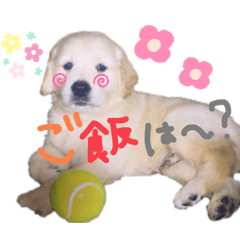 [LINEスタンプ] KIDくんスタンプ第二弾！