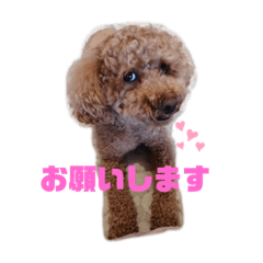 [LINEスタンプ] ♡コロちゃん♡