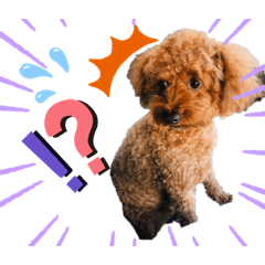 [LINEスタンプ] coco スタンプ②