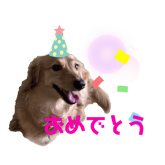 [LINEスタンプ] みるちゃん①