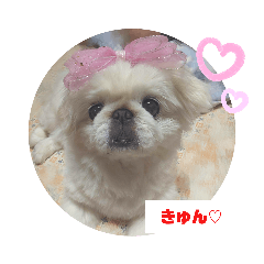 [LINEスタンプ] ラブペキニーズ3