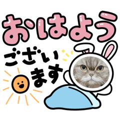[LINEスタンプ] 桃次郎シャチョサン