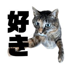 [LINEスタンプ] ムギワラのクレル