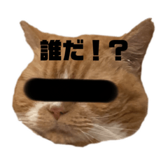 [LINEスタンプ] 18歳のまんちちゃん。part6
