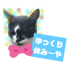 [LINEスタンプ] 猫で簡単挨拶・返事  （デカ文字）