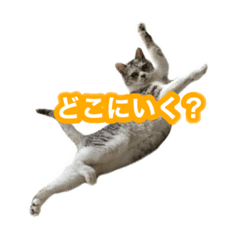 [LINEスタンプ] 待ち合わせで使うかしら？