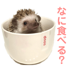 [LINEスタンプ] ちくちくちゃん①