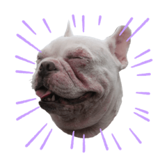 [LINEスタンプ] 千吉とひな