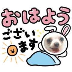 [LINEスタンプ] 激カワだりちゃん