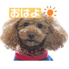 [LINEスタンプ] まいぺーすといぷー