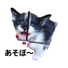 [LINEスタンプ] レオの記録
