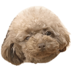 [LINEスタンプ] ちょびさんだよ②