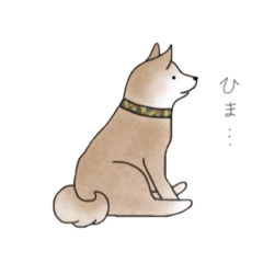 [LINEスタンプ] わんこ【柴犬】