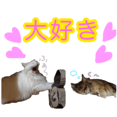 [LINEスタンプ] あいらとその仲間たち 3