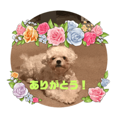 [LINEスタンプ] かわいい動物のあいさつスタンプJW‼️