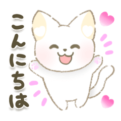 [LINEスタンプ] ゆるねこかわいい日常スタンプ